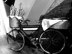 Me and Bicycles - Esperanza Bakery